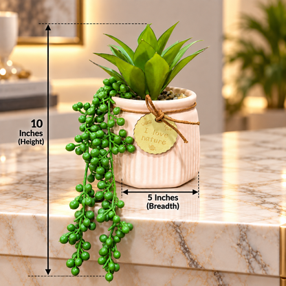 Artificial Succulent Plant with Cascading Greenery in Ribbed Ceramic Pot – Decorative Table Plant