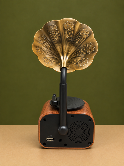 Vintage Gramophone Style Wireless Bluetooth 5.0 Speaker with FM/AM Radio, TF Card Slot & AUX Input – Antique Wooden Audio Accent