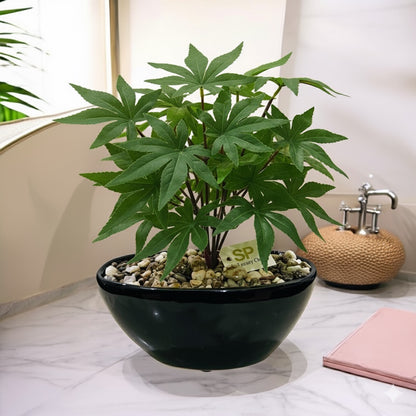Artificial Maple Leaf Plant in Ceramic Pot with Authentic Pebbles - Elegant Home & Bathroom Décor