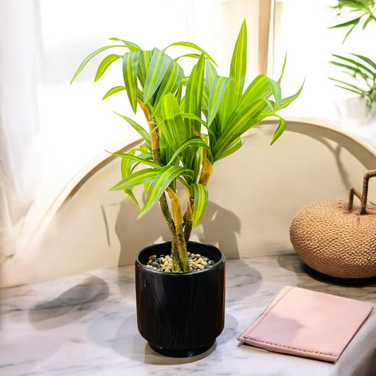 Artificial Cornstalk Plant in Ceramic Pot with Pebbles