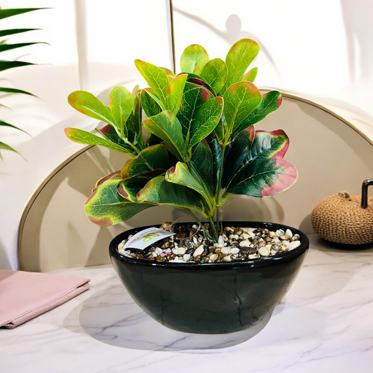 Artificial Croton Plant with Authentic Pebbles and Shells for Bathroom