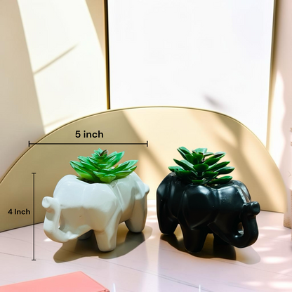 Ceramic Elephant Succulent Plants– Black & White Decorative Mini Pots for Home & Office Decor