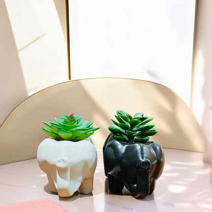Ceramic Elephant Succulent Plants– Black & White Decorative Mini Pots for Home & Office Decor