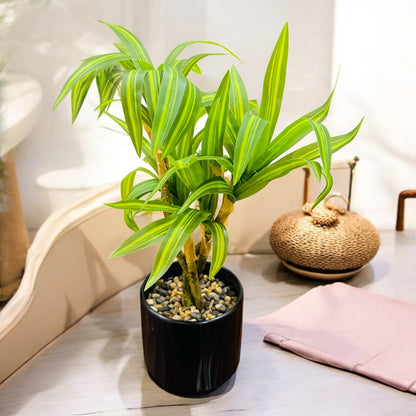 Artificial Cornstalk Plant in Ceramic Pot with Pebbles