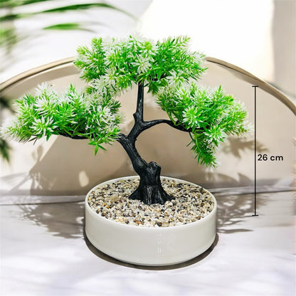 Artificial Bonsai Tree in Ceramic Pot with Pebbles