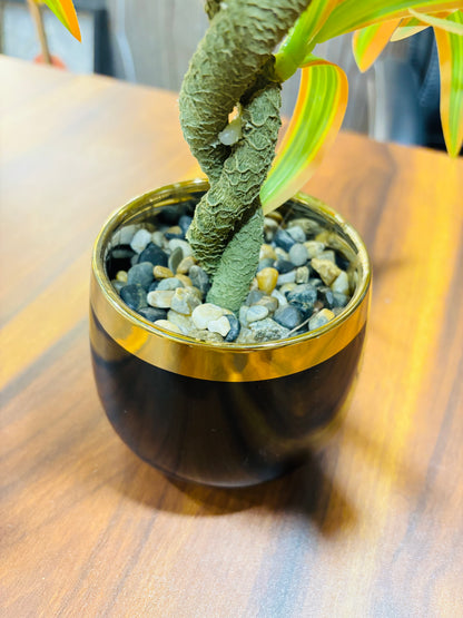 Premium Artificial Dracaena Plant with Black & Gold Ceramic Pot | Realistic Decorative Indoor Tabletop Plant for Home & Office Décor