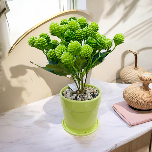 Artificial Hoya Plant in Ceramic Pot with Tray and Pebbles