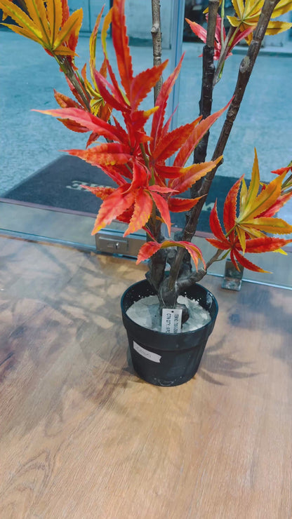 5 FT Premium Artificial Autumn Maple Tree | Large Decorative Faux Plant for Living Room, Office, Hotel & Home Décor