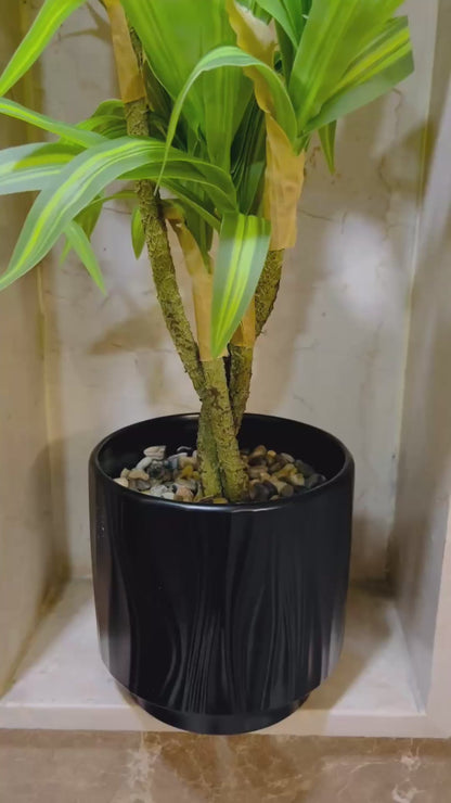 Artificial Cornstalk Plant in Ceramic Pot with Pebbles